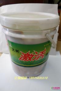 大树激活